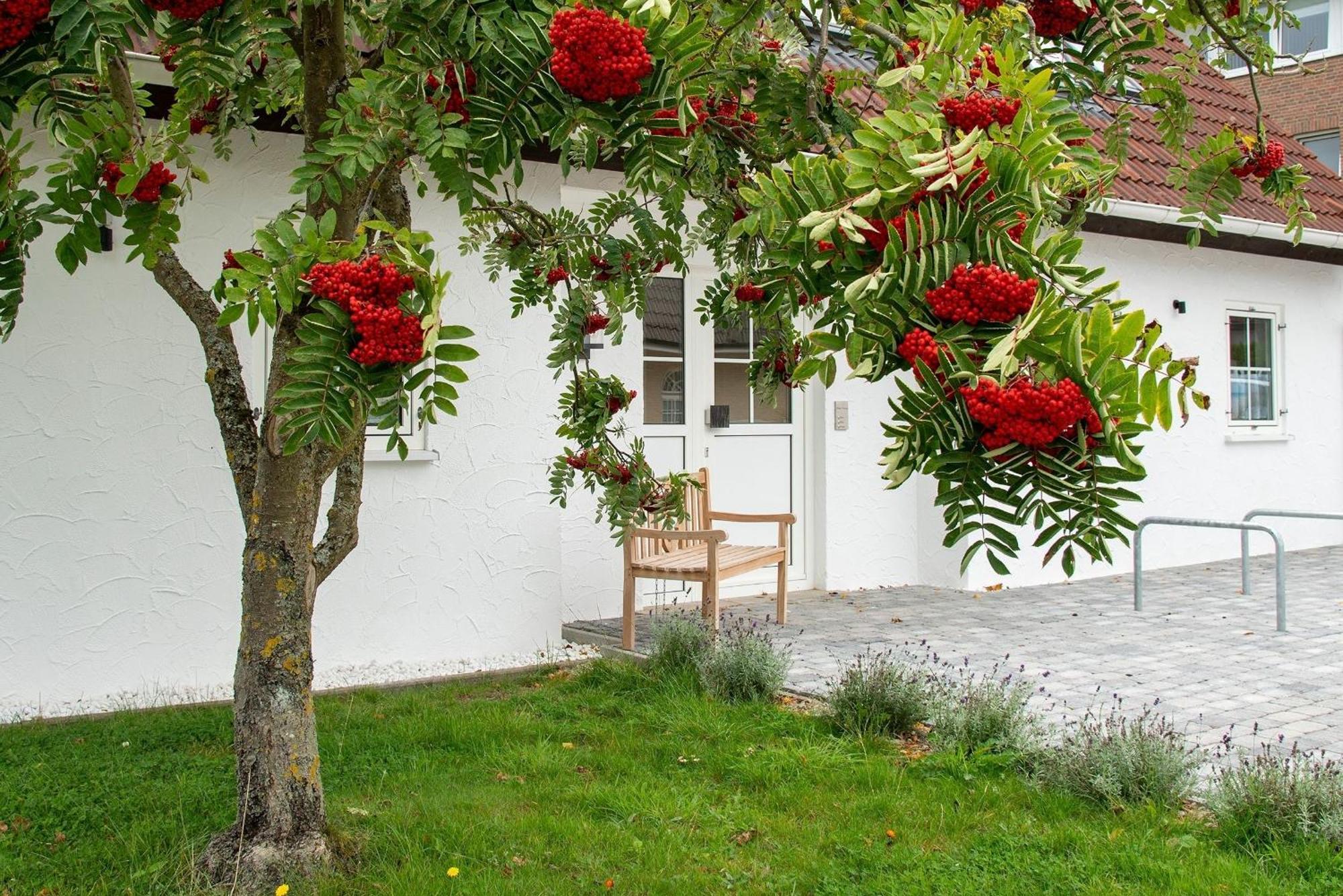 Dien Huus Süd Grömitz Exterior foto